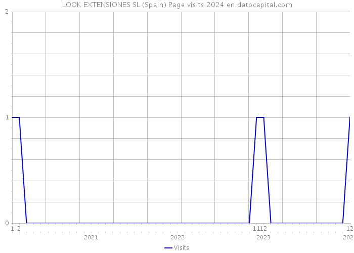 LOOK EXTENSIONES SL (Spain) Page visits 2024 