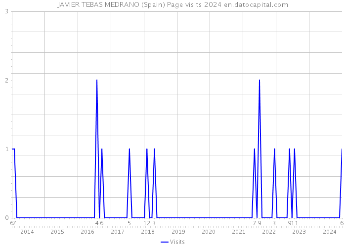 JAVIER TEBAS MEDRANO (Spain) Page visits 2024 