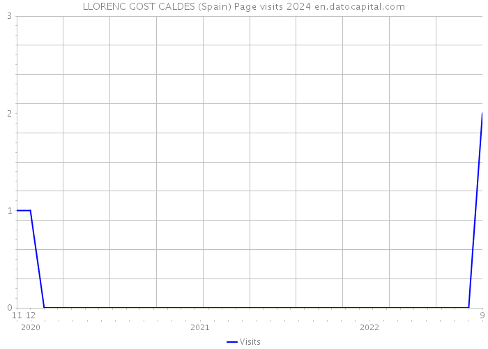 LLORENC GOST CALDES (Spain) Page visits 2024 
