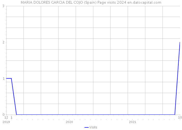 MARIA DOLORES GARCIA DEL COJO (Spain) Page visits 2024 