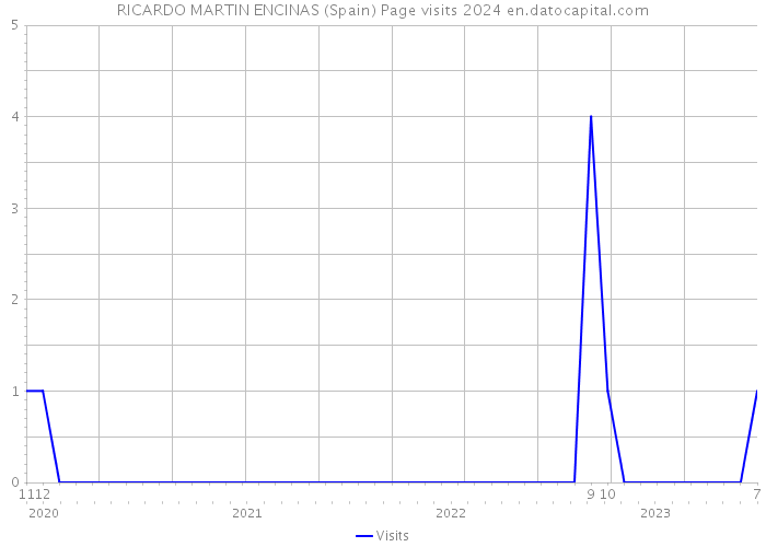 RICARDO MARTIN ENCINAS (Spain) Page visits 2024 