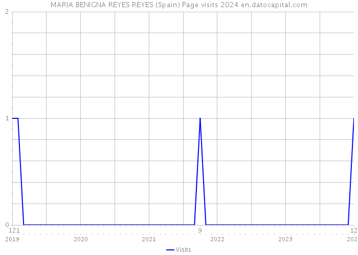 MARIA BENIGNA REYES REYES (Spain) Page visits 2024 