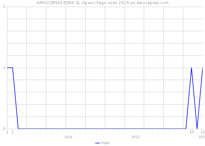 ARROCERIAS ESMA SL (Spain) Page visits 2024 