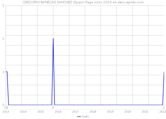 GREGORIO BANEGAS SANCHEZ (Spain) Page visits 2024 