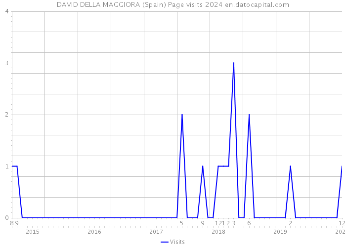 DAVID DELLA MAGGIORA (Spain) Page visits 2024 