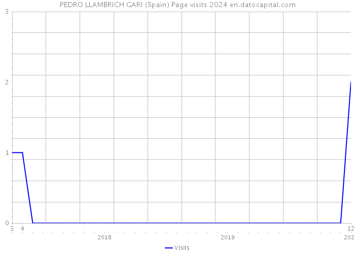 PEDRO LLAMBRICH GARI (Spain) Page visits 2024 