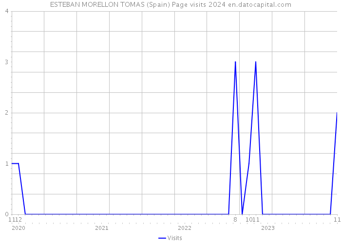ESTEBAN MORELLON TOMAS (Spain) Page visits 2024 