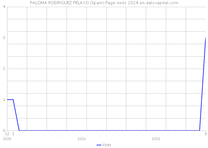 PALOMA RODRIGUEZ PELAYO (Spain) Page visits 2024 