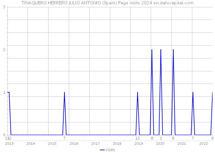 TINAQUERO HERRERO JULIO ANTONIO (Spain) Page visits 2024 