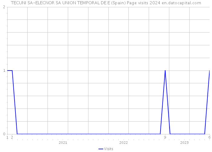 TECUNI SA-ELECNOR SA UNION TEMPORAL DE E (Spain) Page visits 2024 