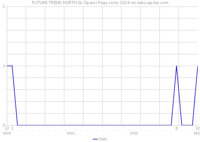 FUTURE TREND NORTH SL (Spain) Page visits 2024 