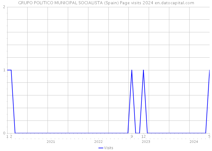 GRUPO POLITICO MUNICIPAL SOCIALISTA (Spain) Page visits 2024 