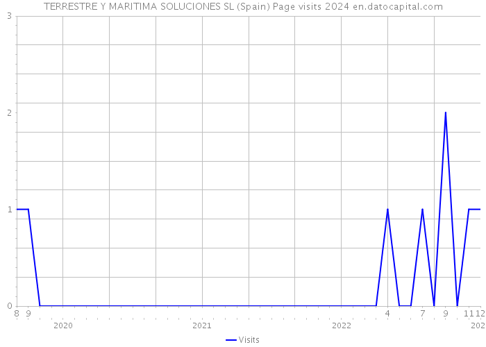 TERRESTRE Y MARITIMA SOLUCIONES SL (Spain) Page visits 2024 