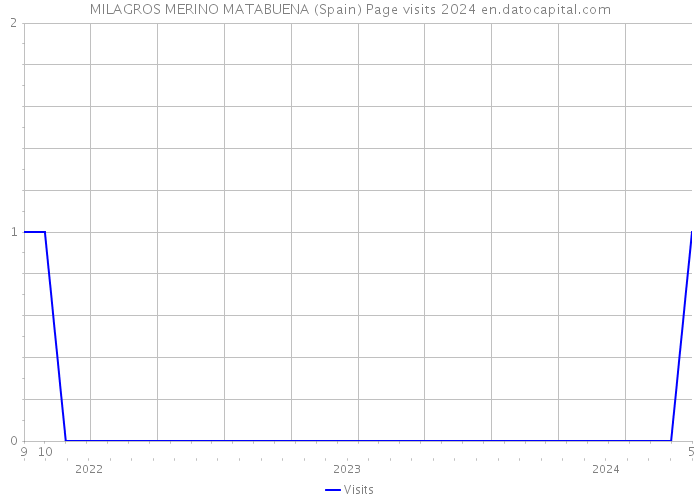 MILAGROS MERINO MATABUENA (Spain) Page visits 2024 