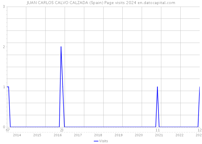 JUAN CARLOS CALVO CALZADA (Spain) Page visits 2024 