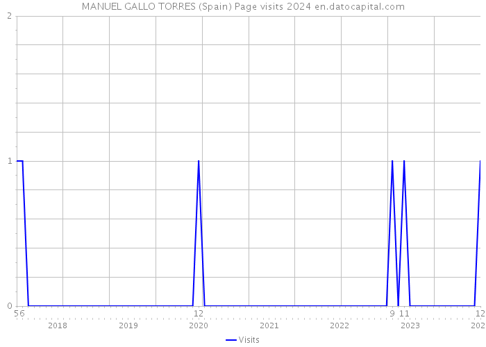 MANUEL GALLO TORRES (Spain) Page visits 2024 