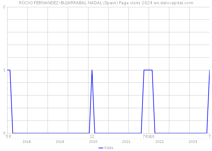 ROCIO FERNANDEZ-BUJARRABAL NADAL (Spain) Page visits 2024 