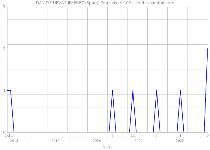 DAVID CUEVAS JIMENEZ (Spain) Page visits 2024 