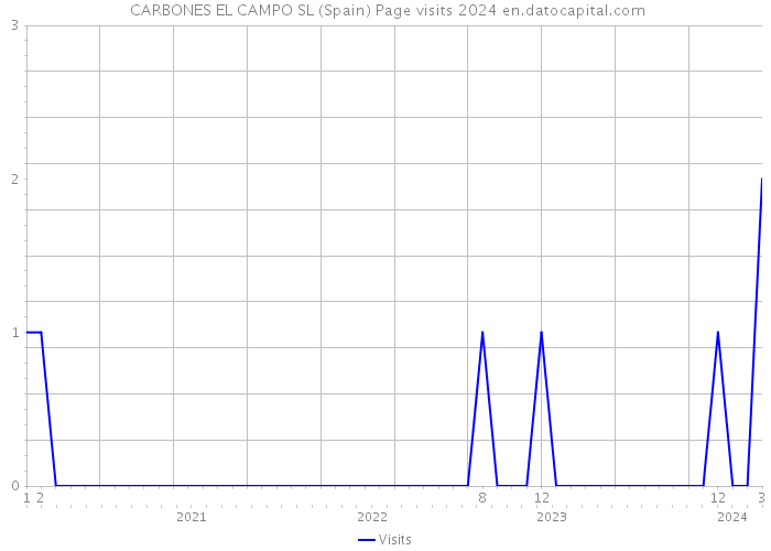  CARBONES EL CAMPO SL (Spain) Page visits 2024 