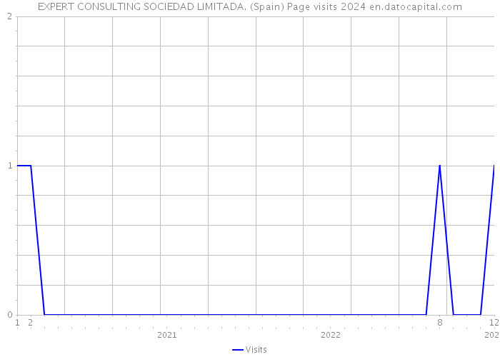EXPERT CONSULTING SOCIEDAD LIMITADA. (Spain) Page visits 2024 