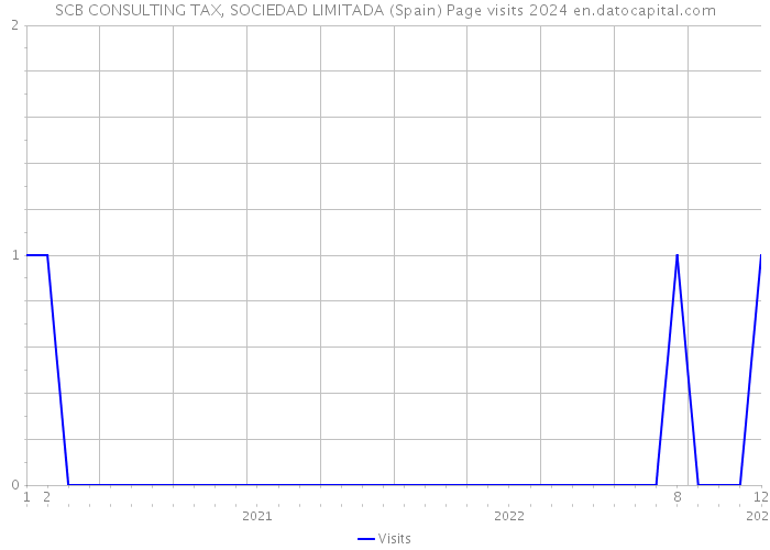 SCB CONSULTING TAX, SOCIEDAD LIMITADA (Spain) Page visits 2024 