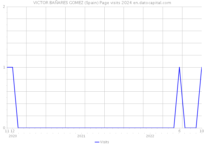 VICTOR BAÑARES GOMEZ (Spain) Page visits 2024 