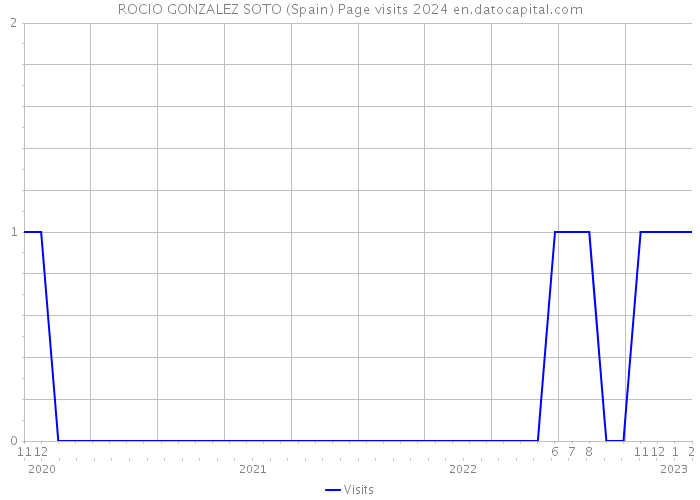 ROCIO GONZALEZ SOTO (Spain) Page visits 2024 