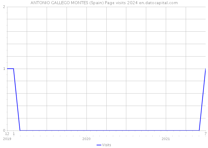 ANTONIO GALLEGO MONTES (Spain) Page visits 2024 