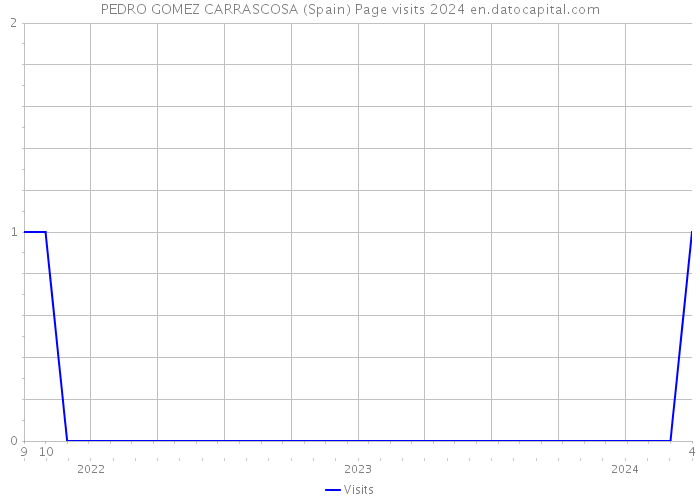 PEDRO GOMEZ CARRASCOSA (Spain) Page visits 2024 