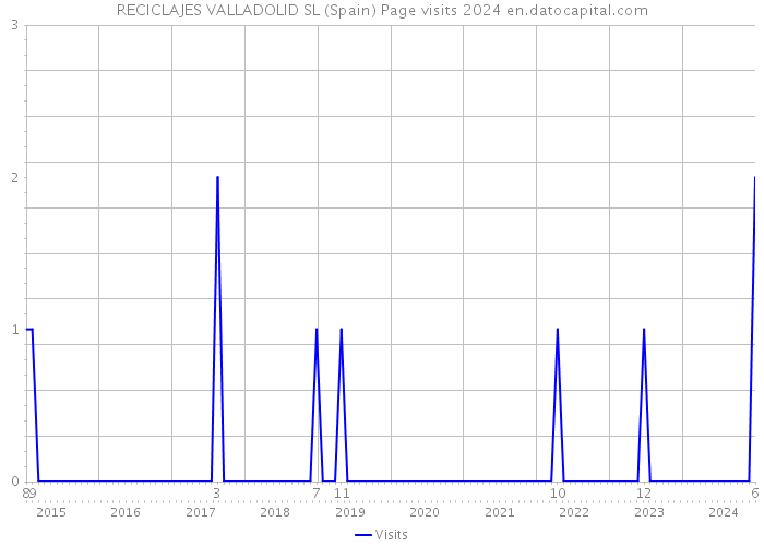 RECICLAJES VALLADOLID SL (Spain) Page visits 2024 