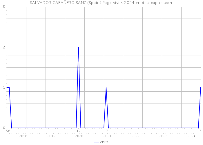 SALVADOR CABAÑERO SANZ (Spain) Page visits 2024 