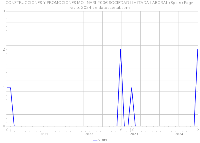 CONSTRUCCIONES Y PROMOCIONES MOLINARI 2006 SOCIEDAD LIMITADA LABORAL (Spain) Page visits 2024 