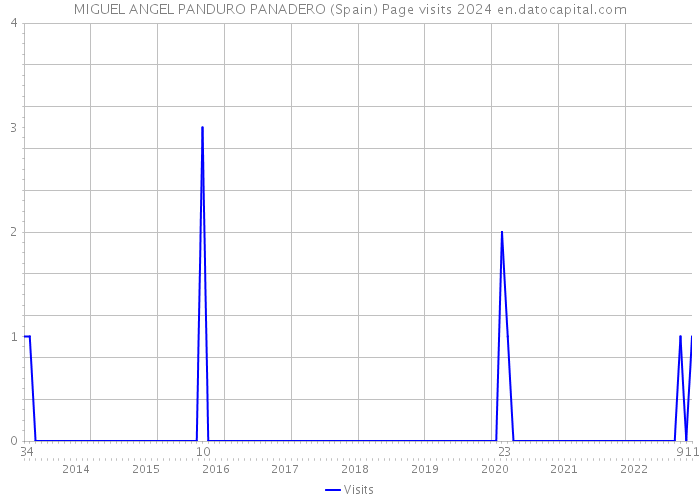 MIGUEL ANGEL PANDURO PANADERO (Spain) Page visits 2024 
