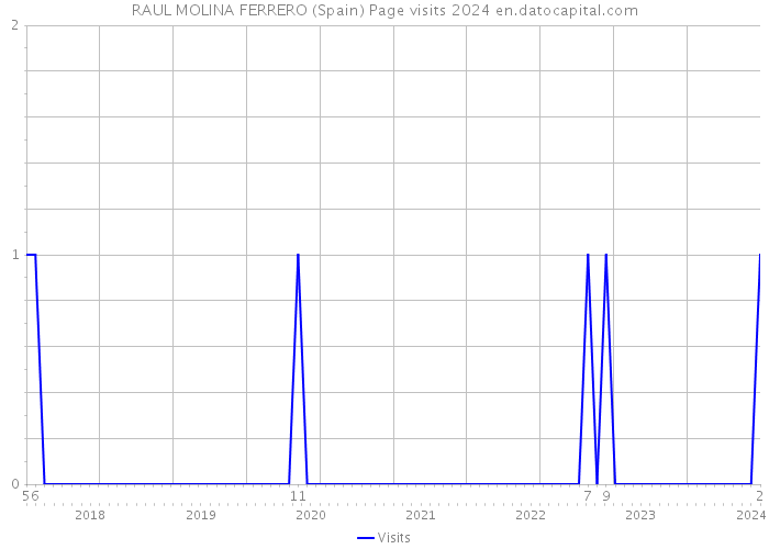 RAUL MOLINA FERRERO (Spain) Page visits 2024 