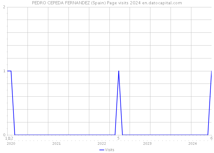 PEDRO CEPEDA FERNANDEZ (Spain) Page visits 2024 