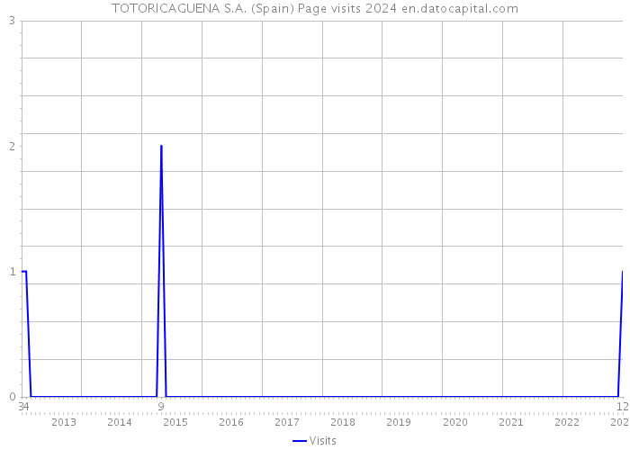 TOTORICAGUENA S.A. (Spain) Page visits 2024 