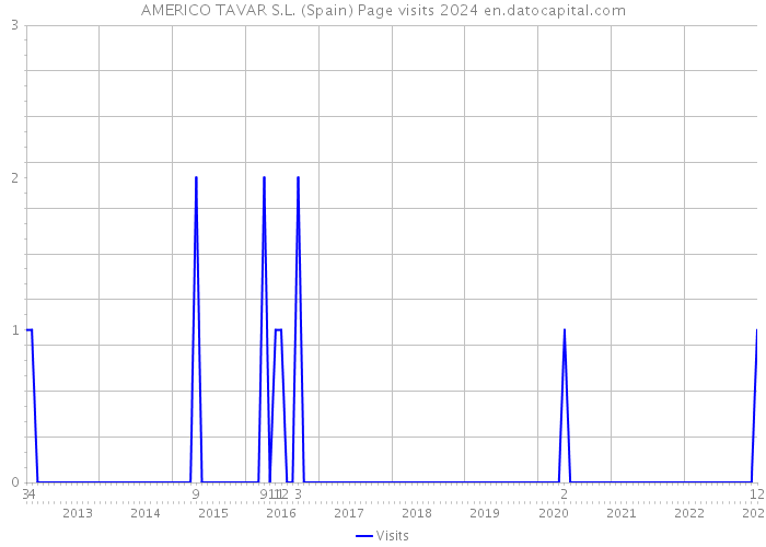 AMERICO TAVAR S.L. (Spain) Page visits 2024 