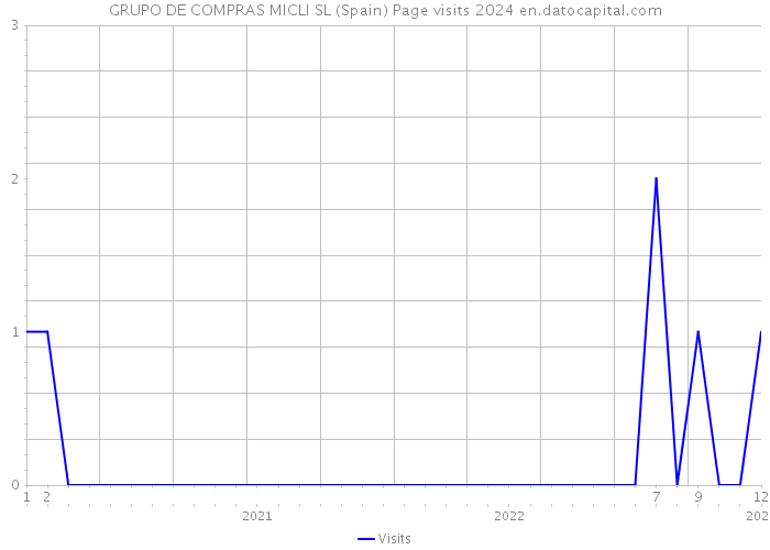 GRUPO DE COMPRAS MICLI SL (Spain) Page visits 2024 