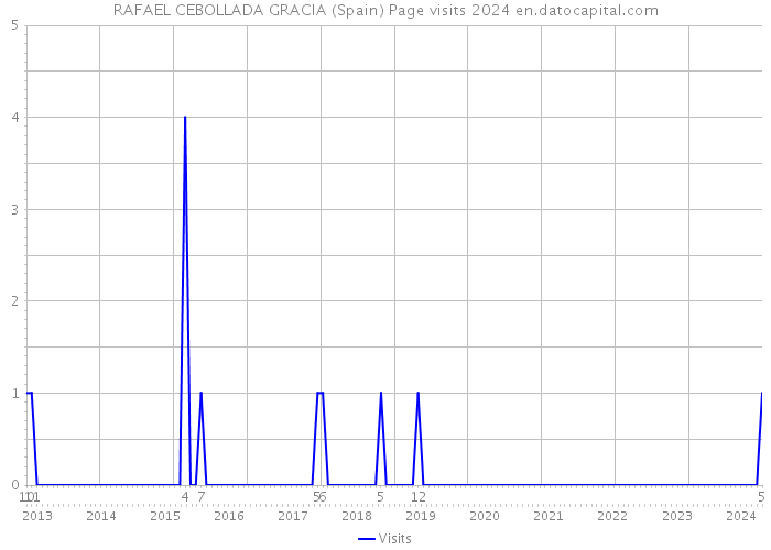 RAFAEL CEBOLLADA GRACIA (Spain) Page visits 2024 