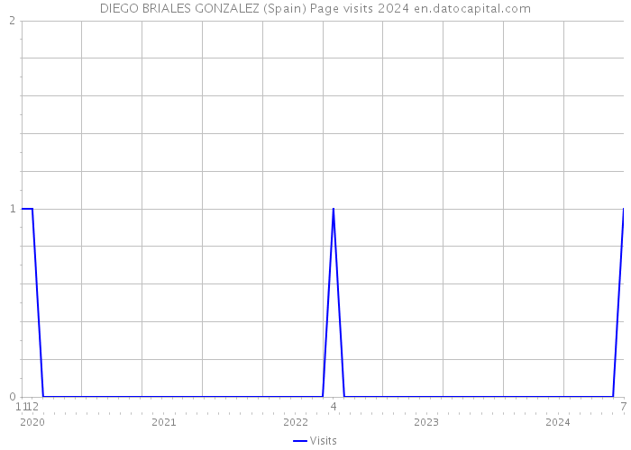 DIEGO BRIALES GONZALEZ (Spain) Page visits 2024 