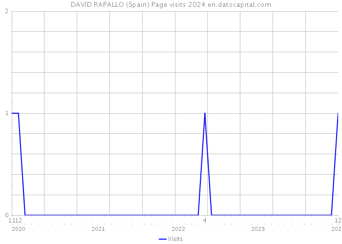 DAVID RAPALLO (Spain) Page visits 2024 