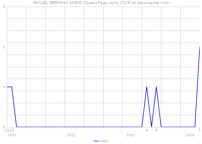 MIGUEL SERRANO SAENZ (Spain) Page visits 2024 