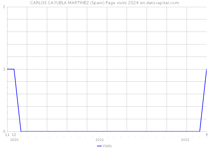 CARLOS CAYUELA MARTINEZ (Spain) Page visits 2024 