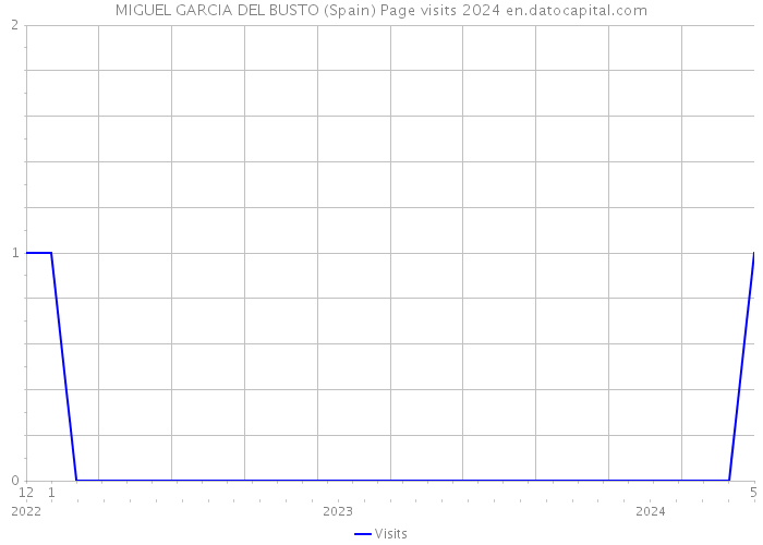MIGUEL GARCIA DEL BUSTO (Spain) Page visits 2024 