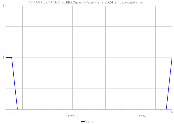 TOMAS HERNANDO RUBIO (Spain) Page visits 2024 