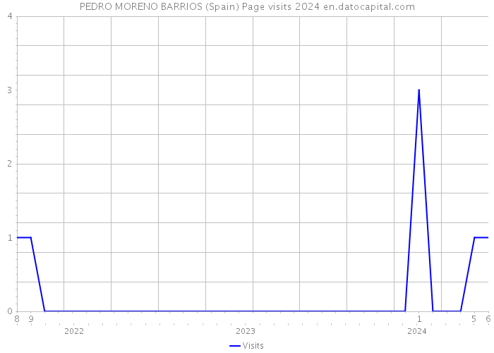 PEDRO MORENO BARRIOS (Spain) Page visits 2024 