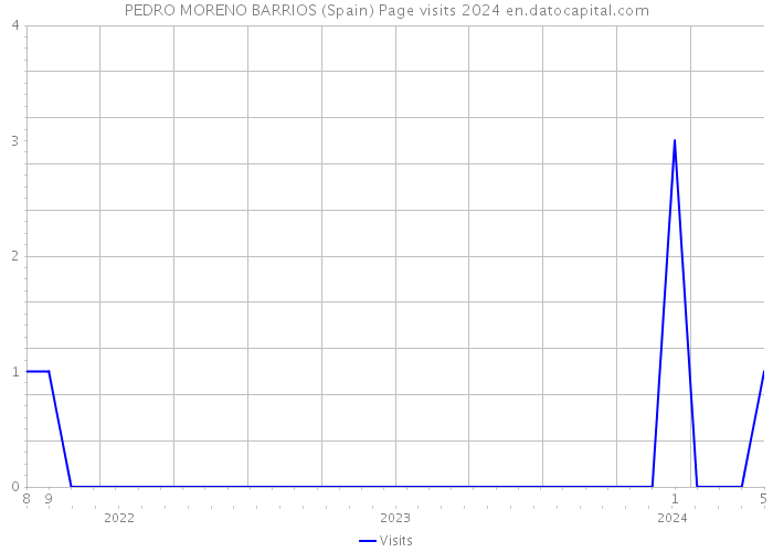 PEDRO MORENO BARRIOS (Spain) Page visits 2024 