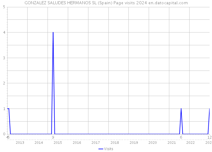 GONZALEZ SALUDES HERMANOS SL (Spain) Page visits 2024 