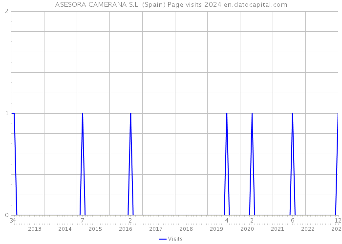 ASESORA CAMERANA S.L. (Spain) Page visits 2024 