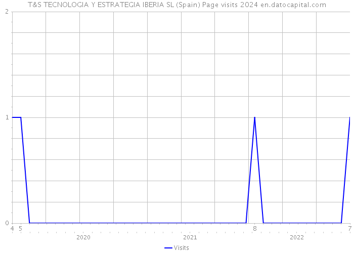 T&S TECNOLOGIA Y ESTRATEGIA IBERIA SL (Spain) Page visits 2024 